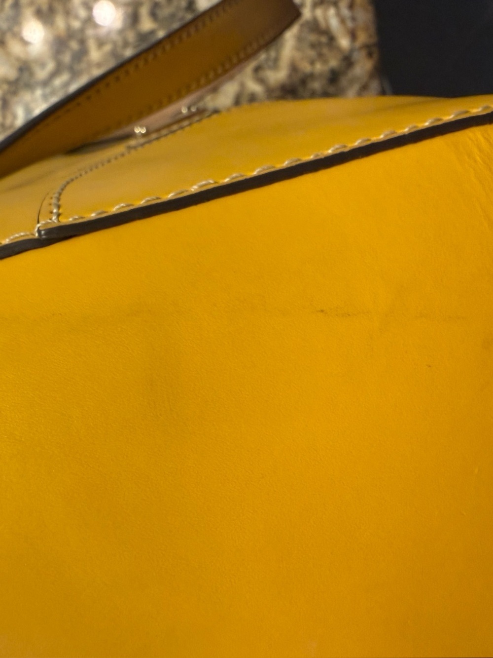 Dooney & Bourke Mila Bag in Mustard - Picture 11 of 13